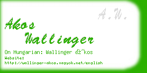 akos wallinger business card